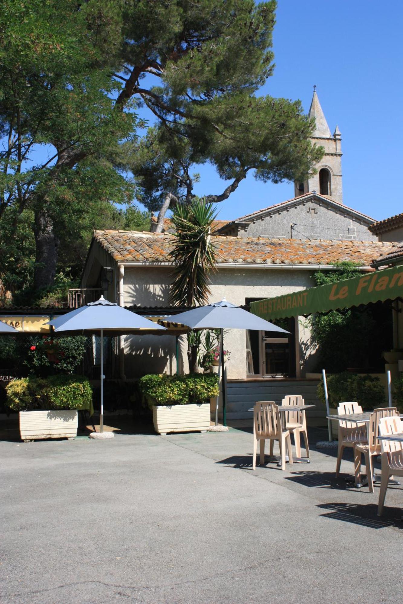 Logis Hotel Restaurant Le Flamant Rose Camargue Albaron ภายนอก รูปภาพ